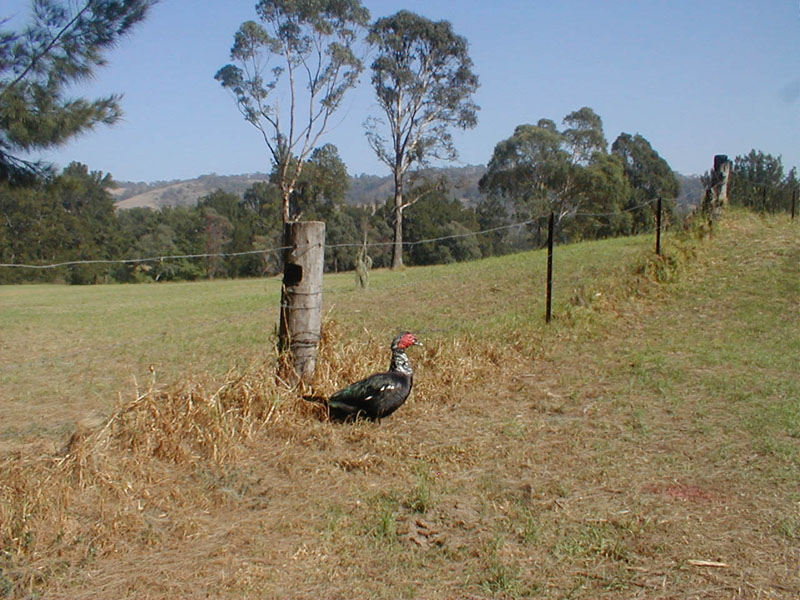 pc080017