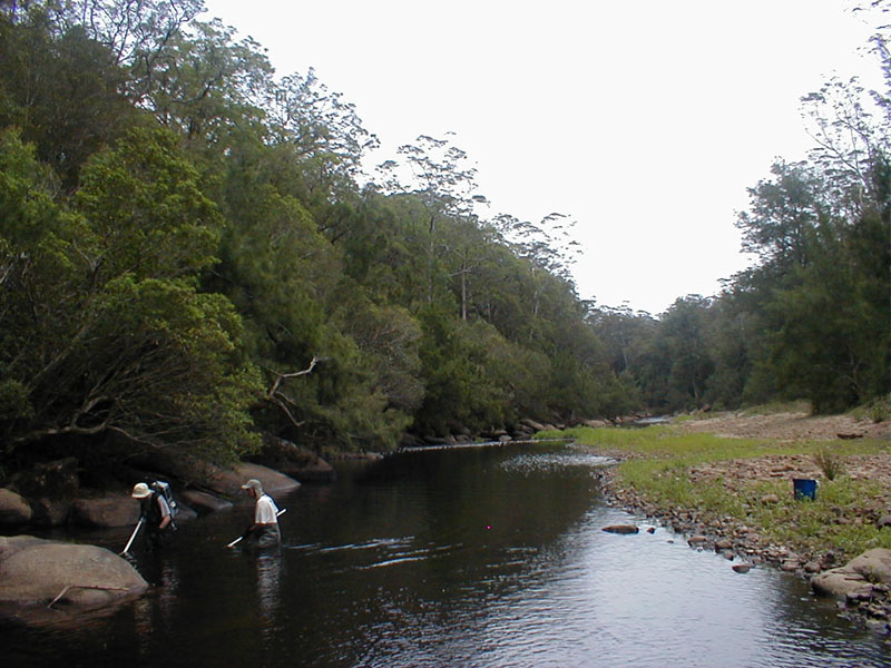 pc080028