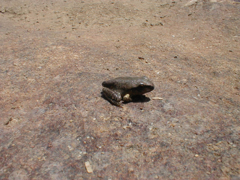 pc080030