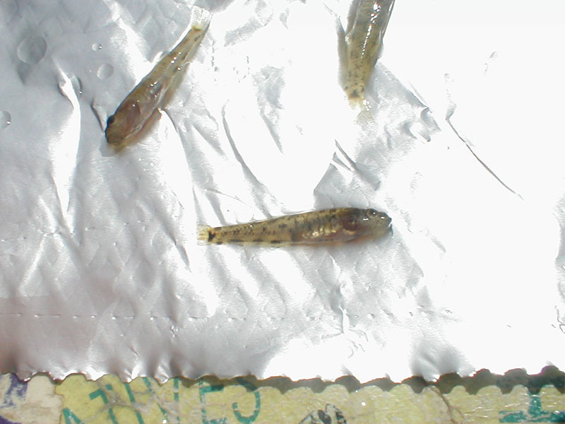 pc100029