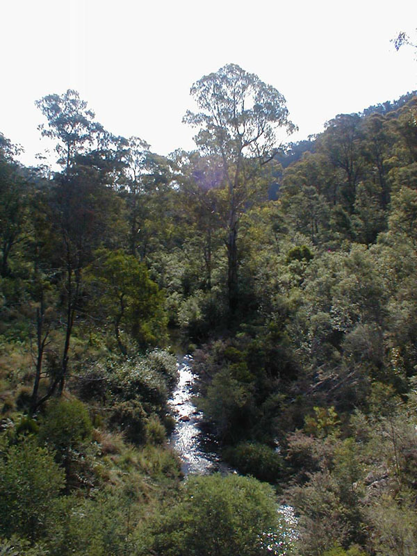 pc100031