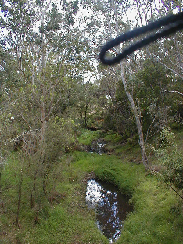 pc110035
