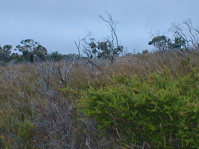 pc120058
