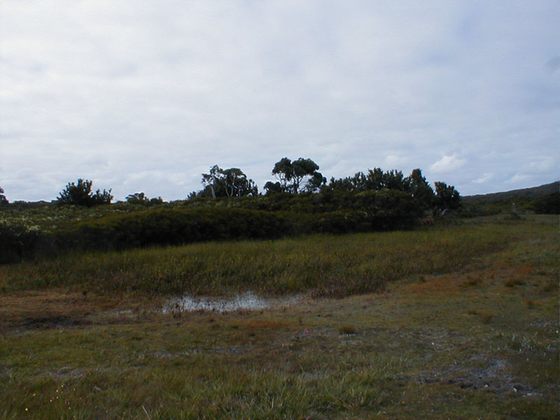 pc120075