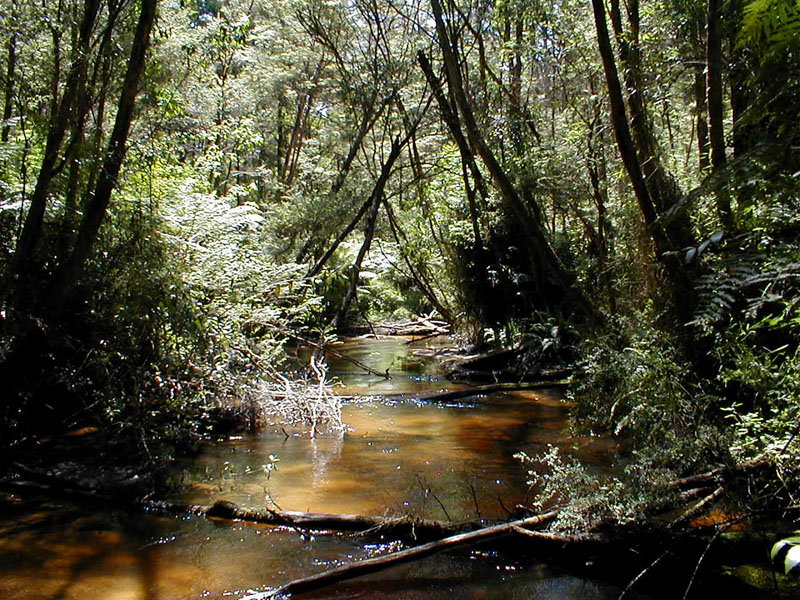 pc140010