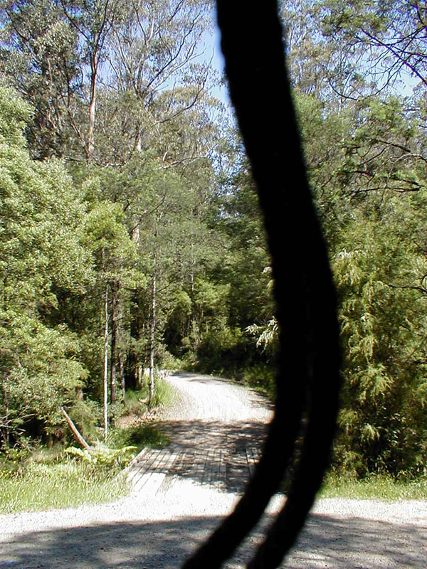 pc140019