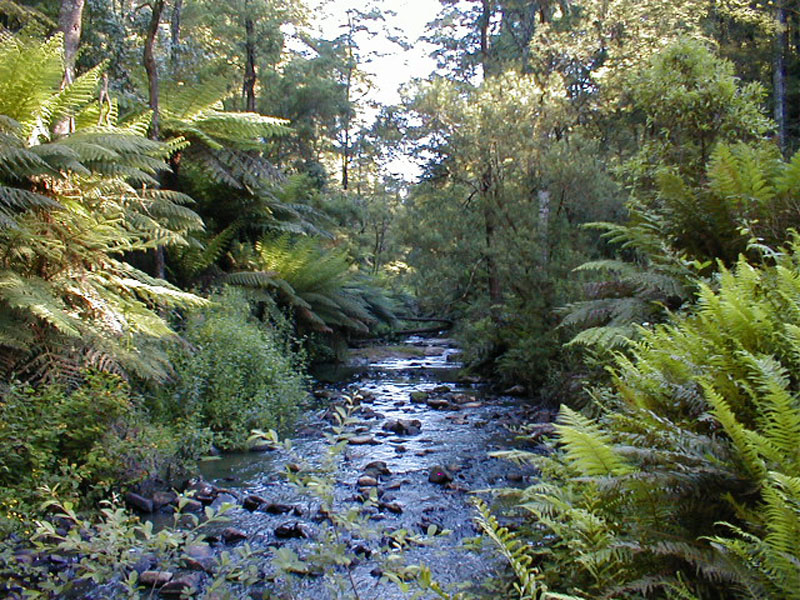 pc140091