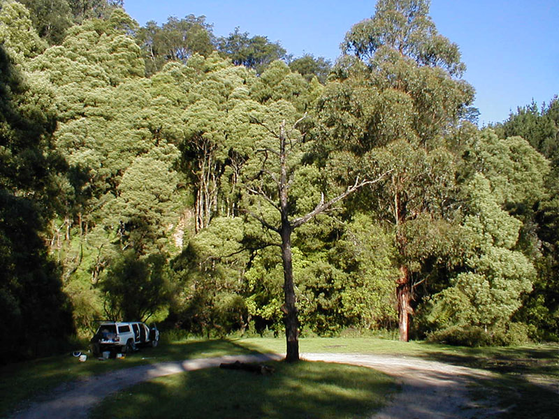 pc140094