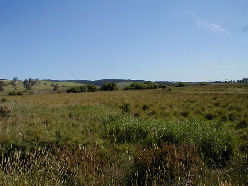 pc150049