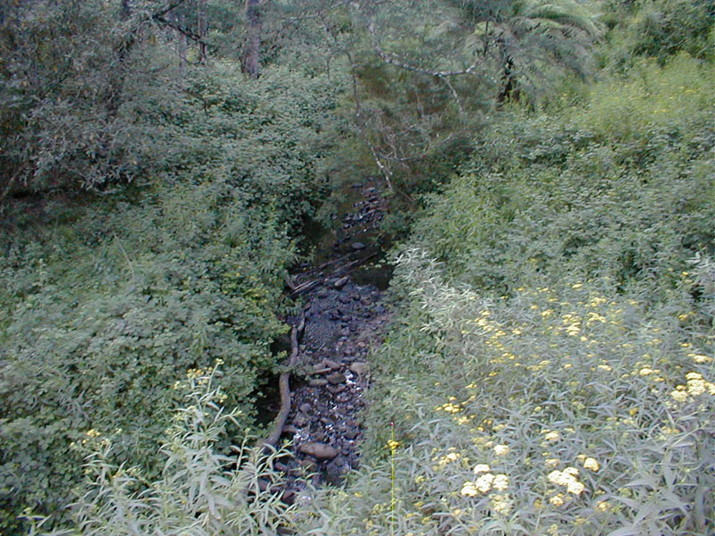 pc190097