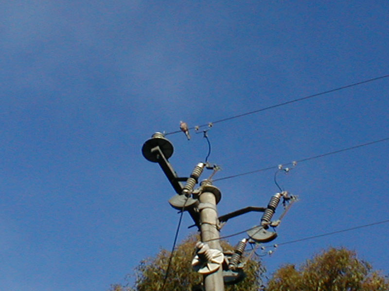 pc200165