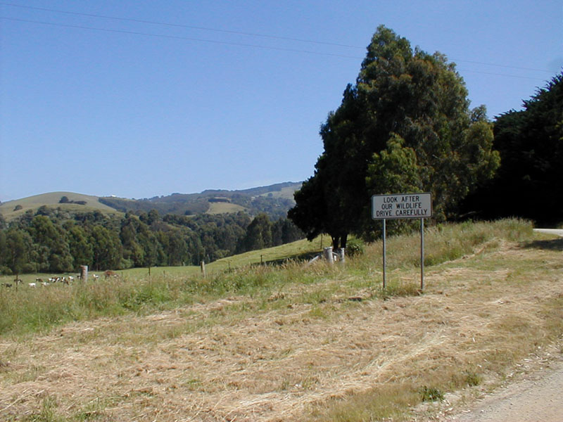 pc200174