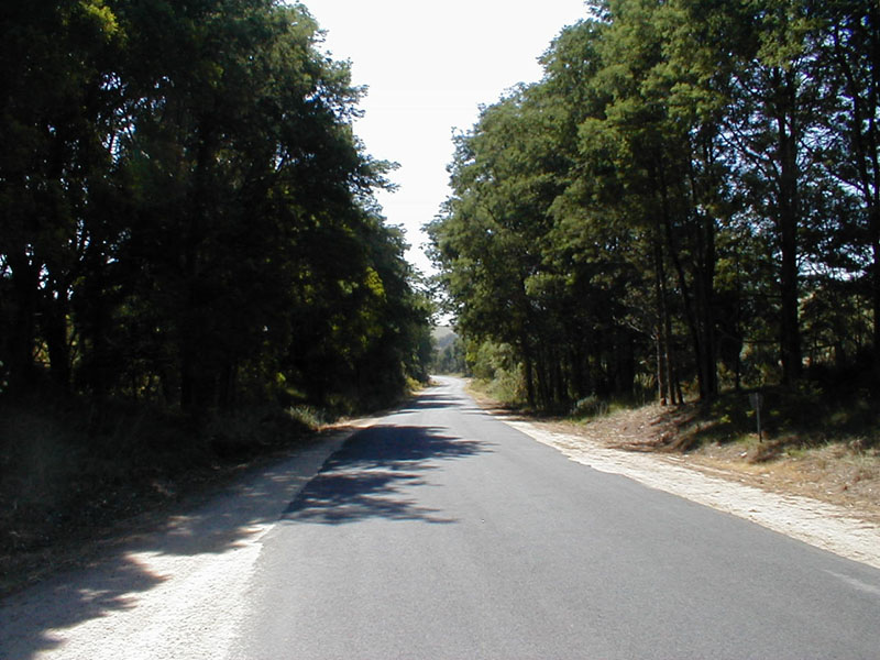 pc200178