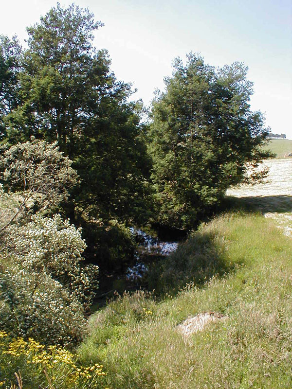 pc200184