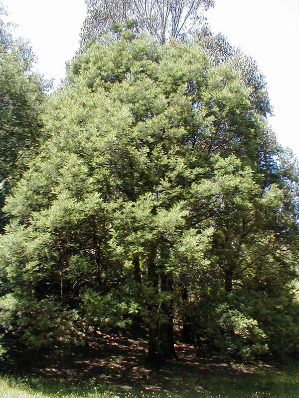 pc200201