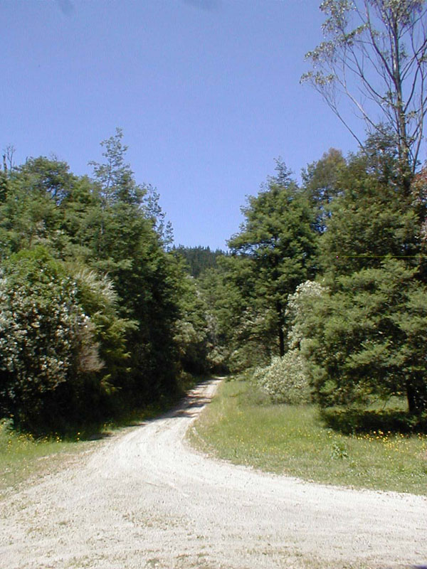pc200202