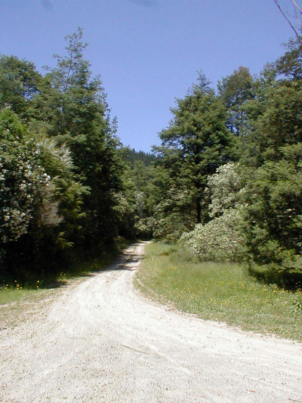 pc200203