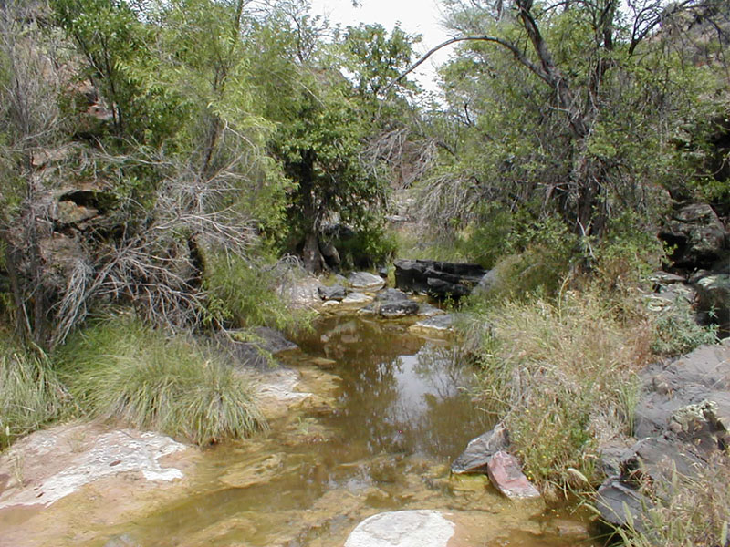 p5310029