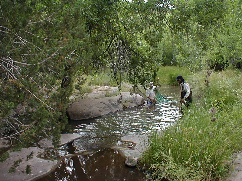 p5310048