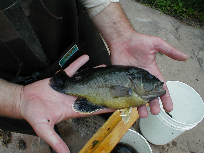 p5310052