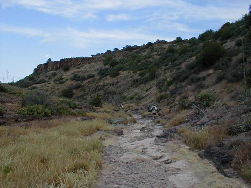 p5310056