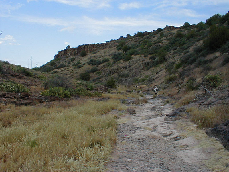 p5310057