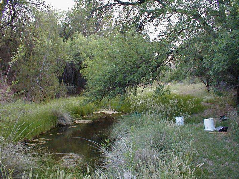 p5310058