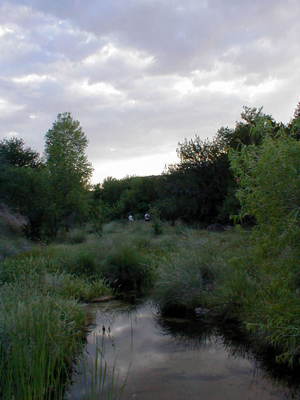 p5310063