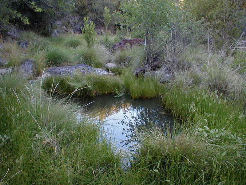 p5310064