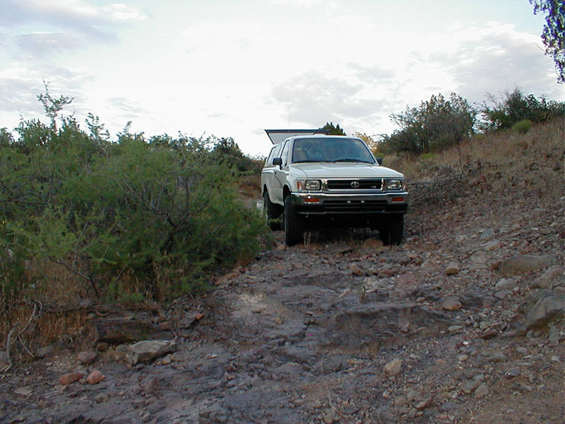 p5310067