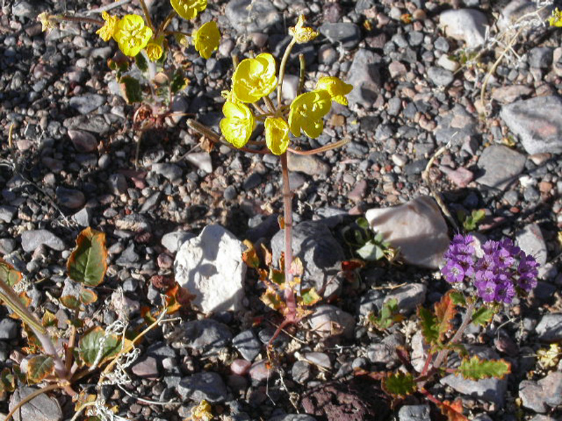 mar04-92