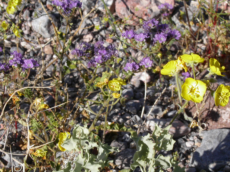 mar04-98