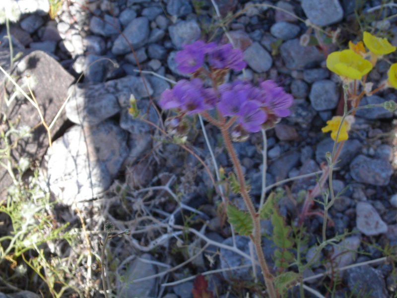 mar04-a101