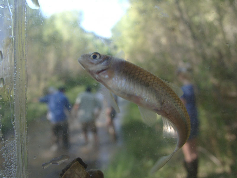 10030017