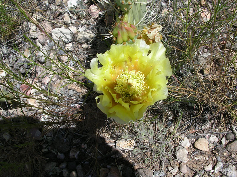 dscn0649