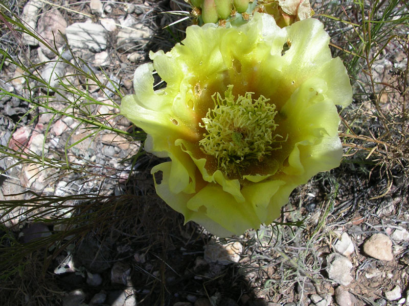 dscn0650