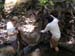 dscn0633