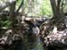 dscn0635