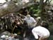dscn0636