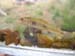 dscn0681