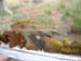 dscn0683