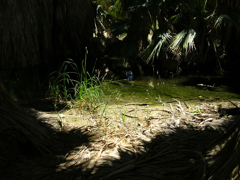dscn0236