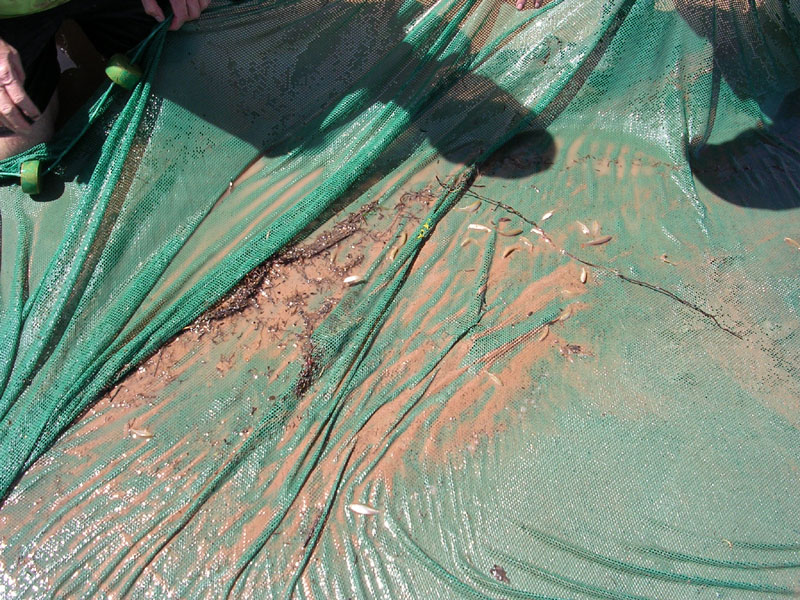 dscn0270