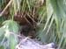 dscn0231