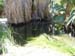 dscn0237