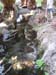 dscn0238