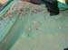 dscn0276