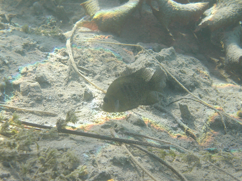 p1010160