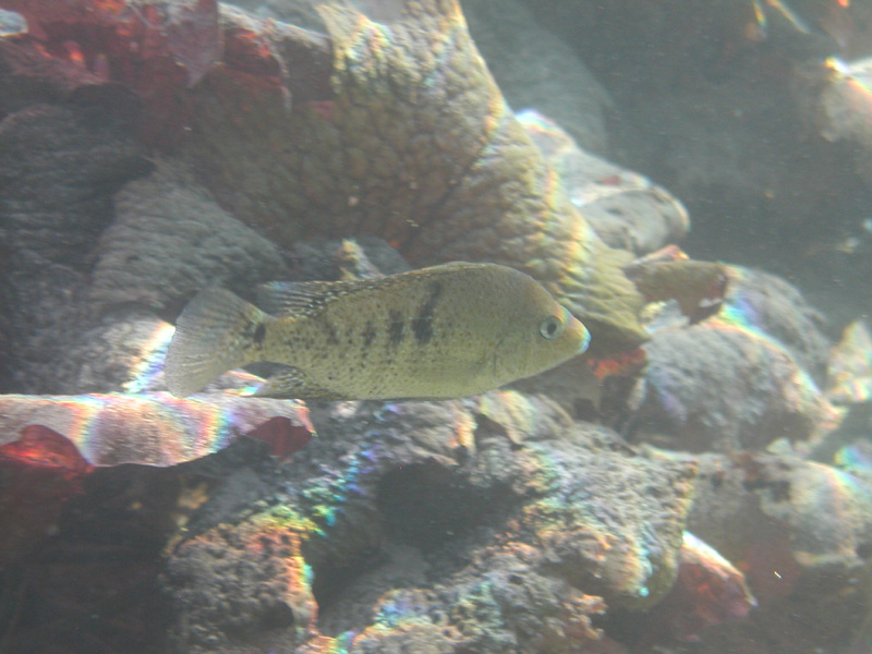p1010166