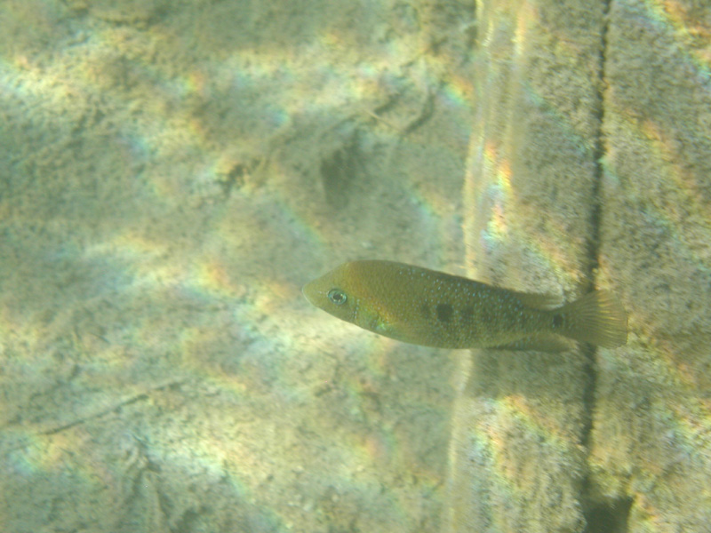 p1010186